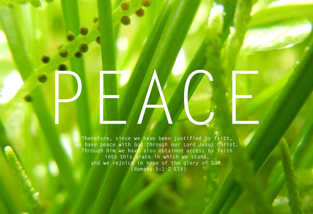 PEACE_Romans5_1700_1163