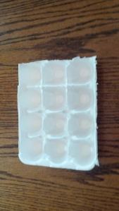 terrific toilet training